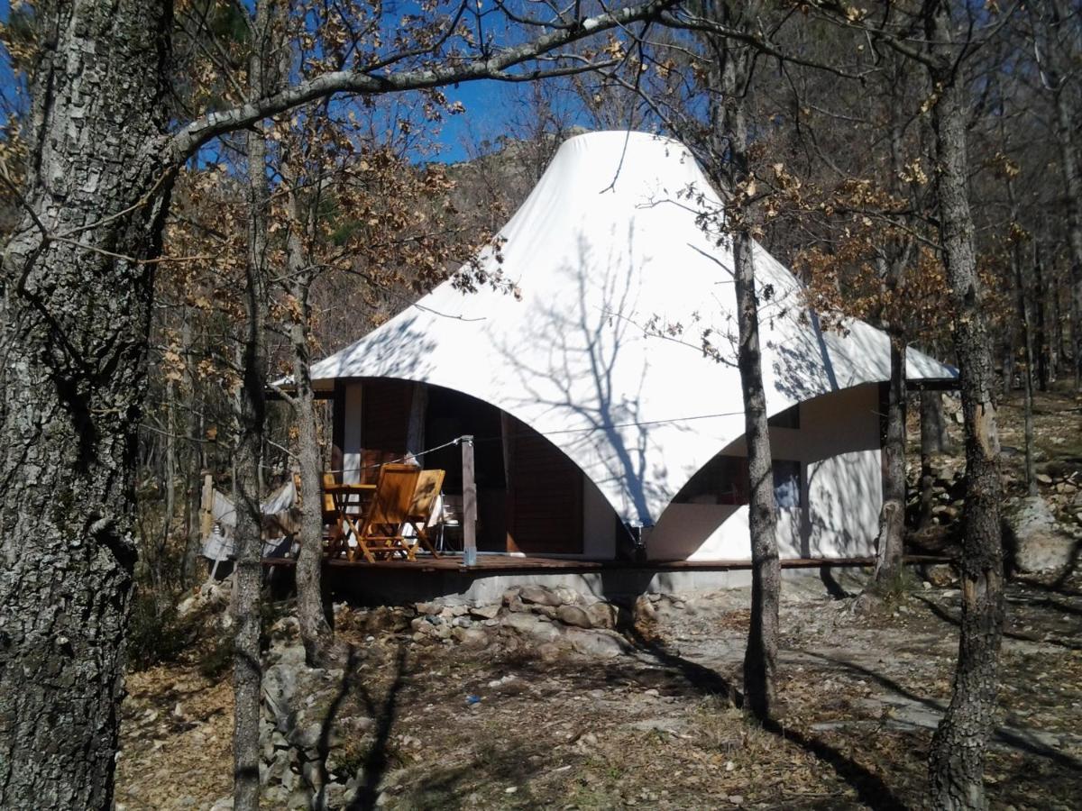 Lodge De Charme Avec Jacuzzi Ghisoni Экстерьер фото