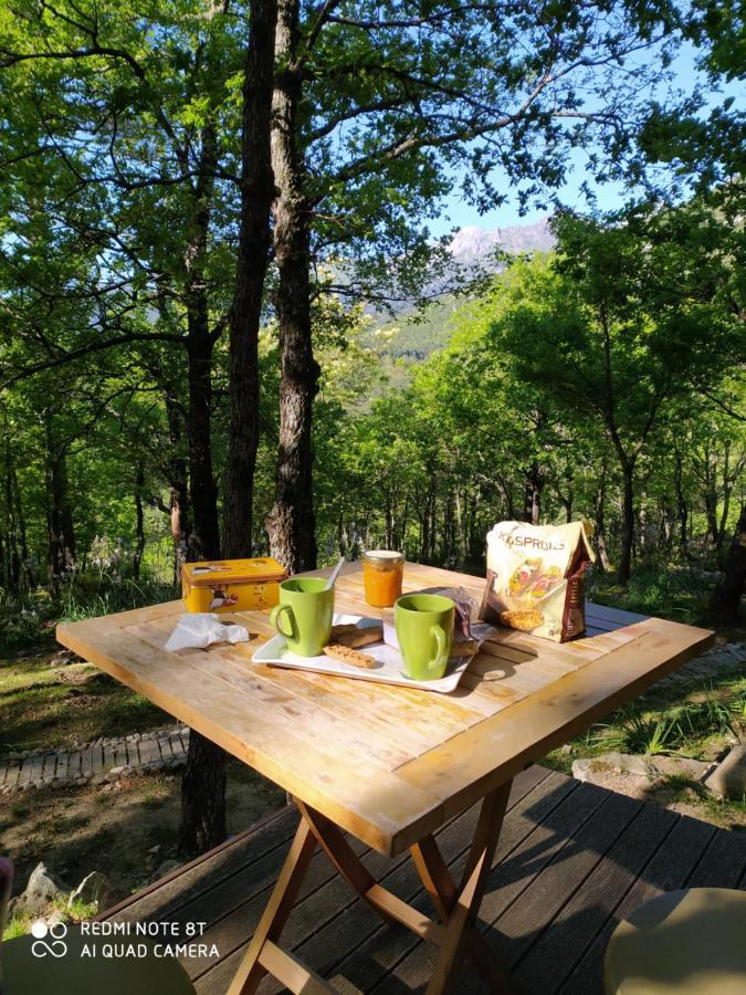 Lodge De Charme Avec Jacuzzi Ghisoni Экстерьер фото