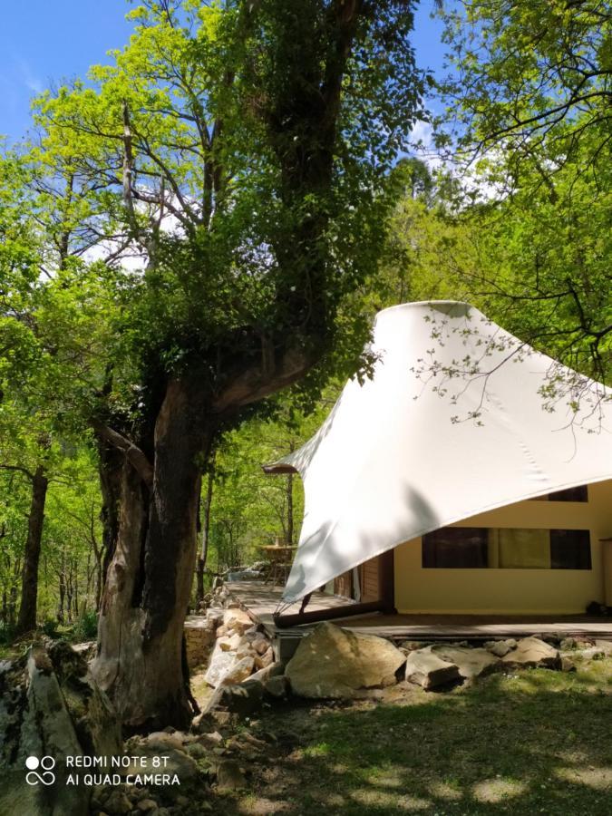 Lodge De Charme Avec Jacuzzi Ghisoni Экстерьер фото