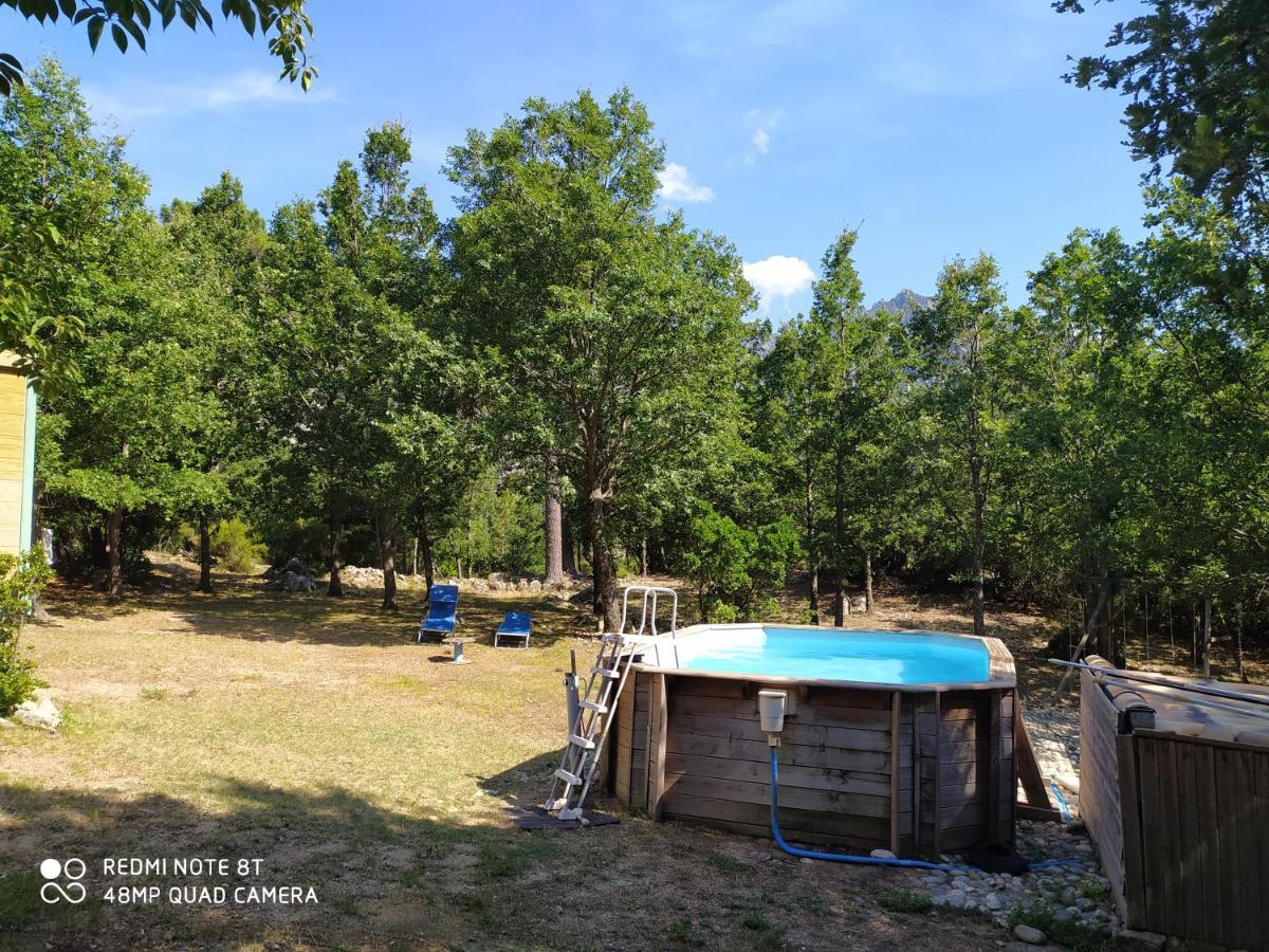 Lodge De Charme Avec Jacuzzi Ghisoni Экстерьер фото