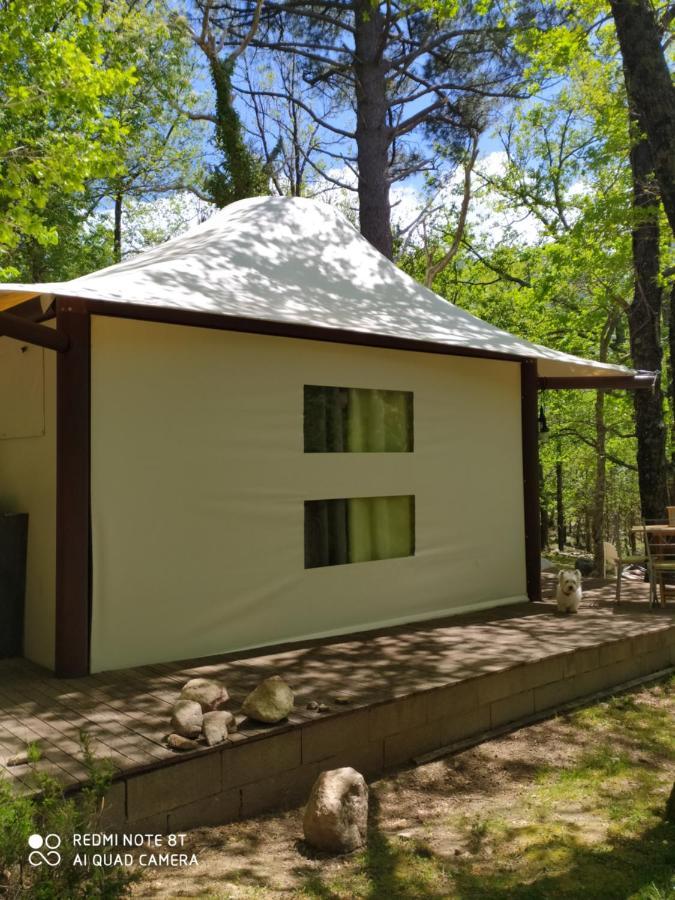 Lodge De Charme Avec Jacuzzi Ghisoni Экстерьер фото